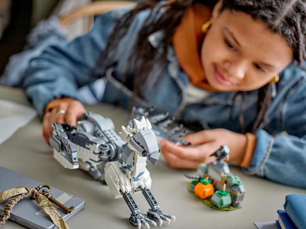 Immagine del prodotto LEGO - HARRY POTTER Fierobecco 76427