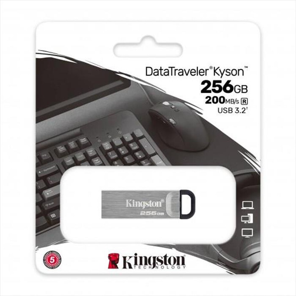 Immagine del prodotto KINGSTON - Memoria 256 GB DTKN256GB-Argento