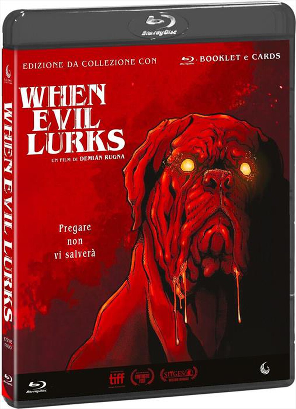Immagine del prodotto EAGLE PICTURES - When Evil Lurks