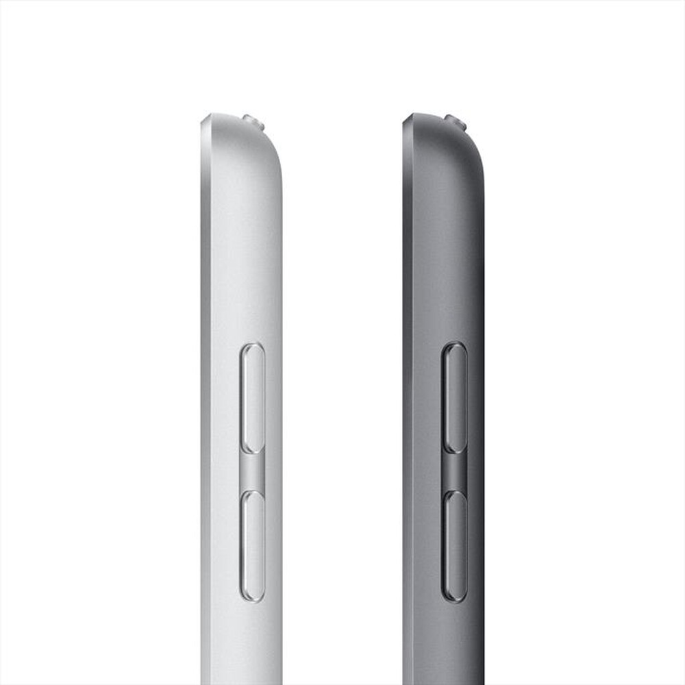 Immagine del prodotto APPLE - iPad 10.2" Wifi+Cellular 256GB-Argento