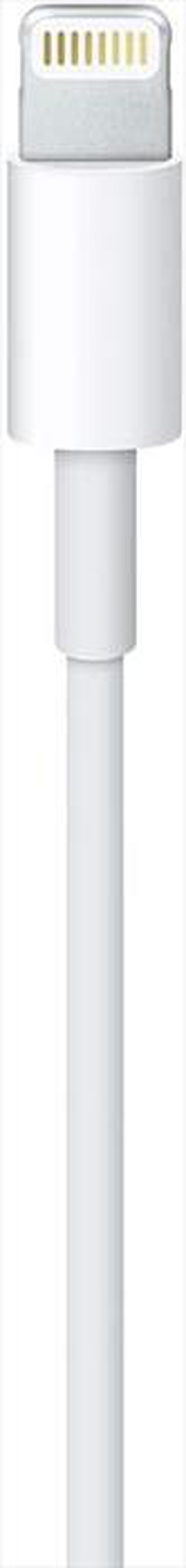 Immagine del prodotto APPLE - Cavo da Lightning a USB (1m)