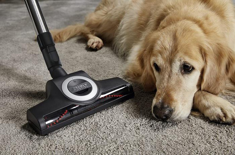 Immagine del prodotto MIELE - Aspirapolvere a traino C3 CAT&DOG POWE-Rosso rubino