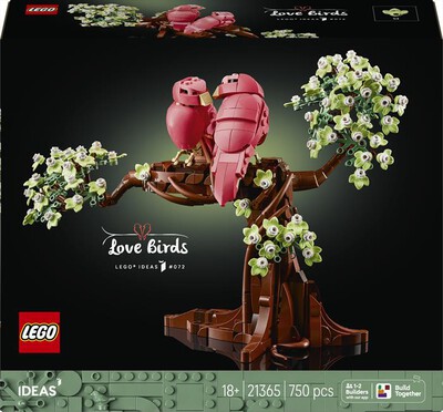 LEGO - IDEAS Uccellini innamorati - 21365