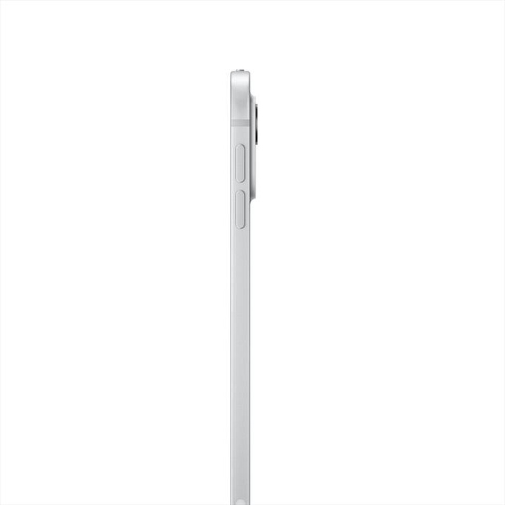Immagine del prodotto APPLE - iPad Pro 11'' Wi-Fi 1TB Standard glass-Argento