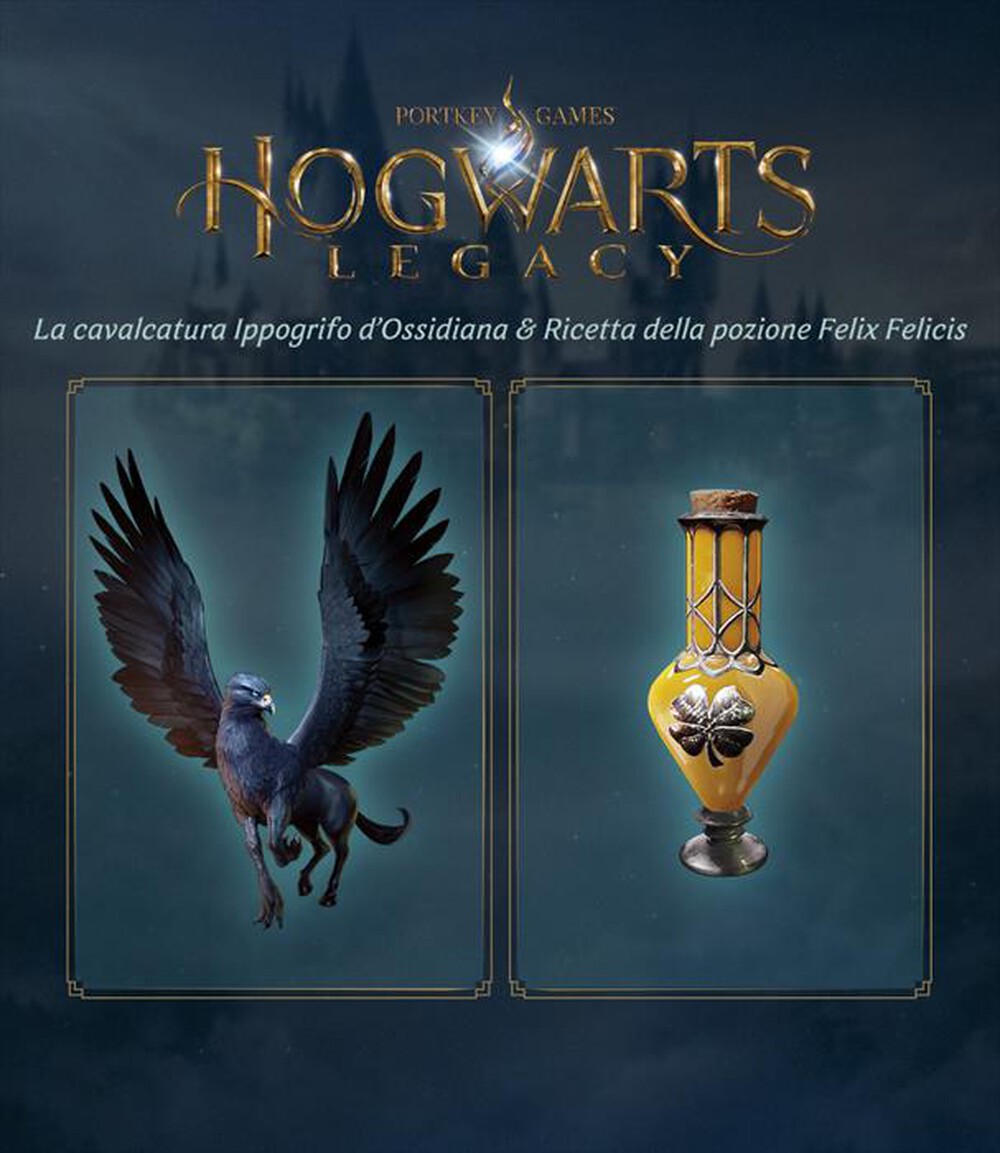 Immagine del prodotto WARNER GAMES - HOGWARTS LEGACY - PS4