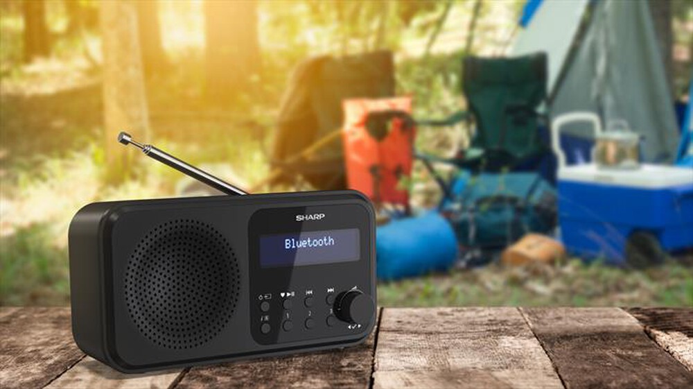 Immagine del prodotto SHARP - Radio FM DR-P420-Nero