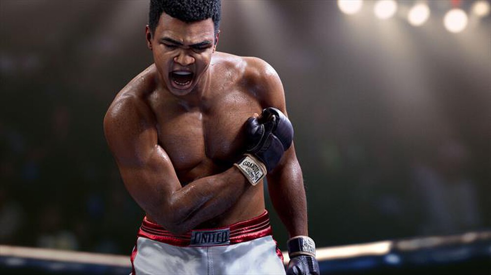 Immagine del prodotto ELECTRONIC ARTS - EA SPORTS UFC 5 STANDARD EDITION PS5