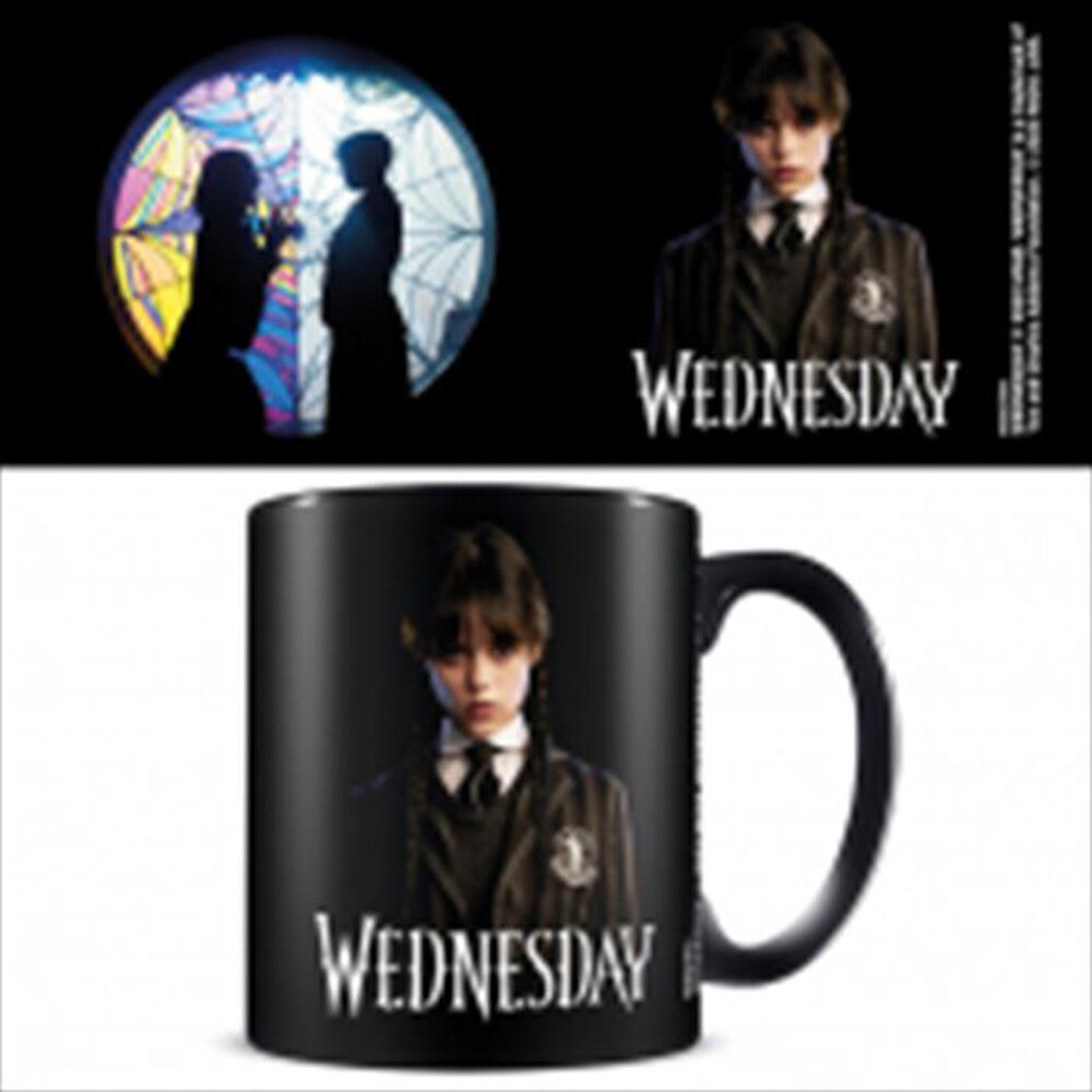 Immagine del prodotto PYRAMID - Tazza Wednesday Friendship MGB27841