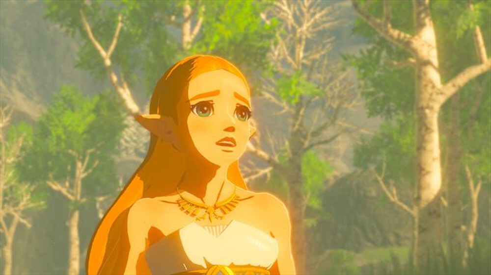 Immagine del prodotto NINTENDO - The Legend of Zelda: Breath of the Wild