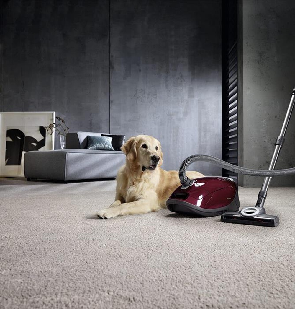 Immagine del prodotto MIELE - Aspirapolvere a traino C3 CAT&DOG POWE-Rosso rubino