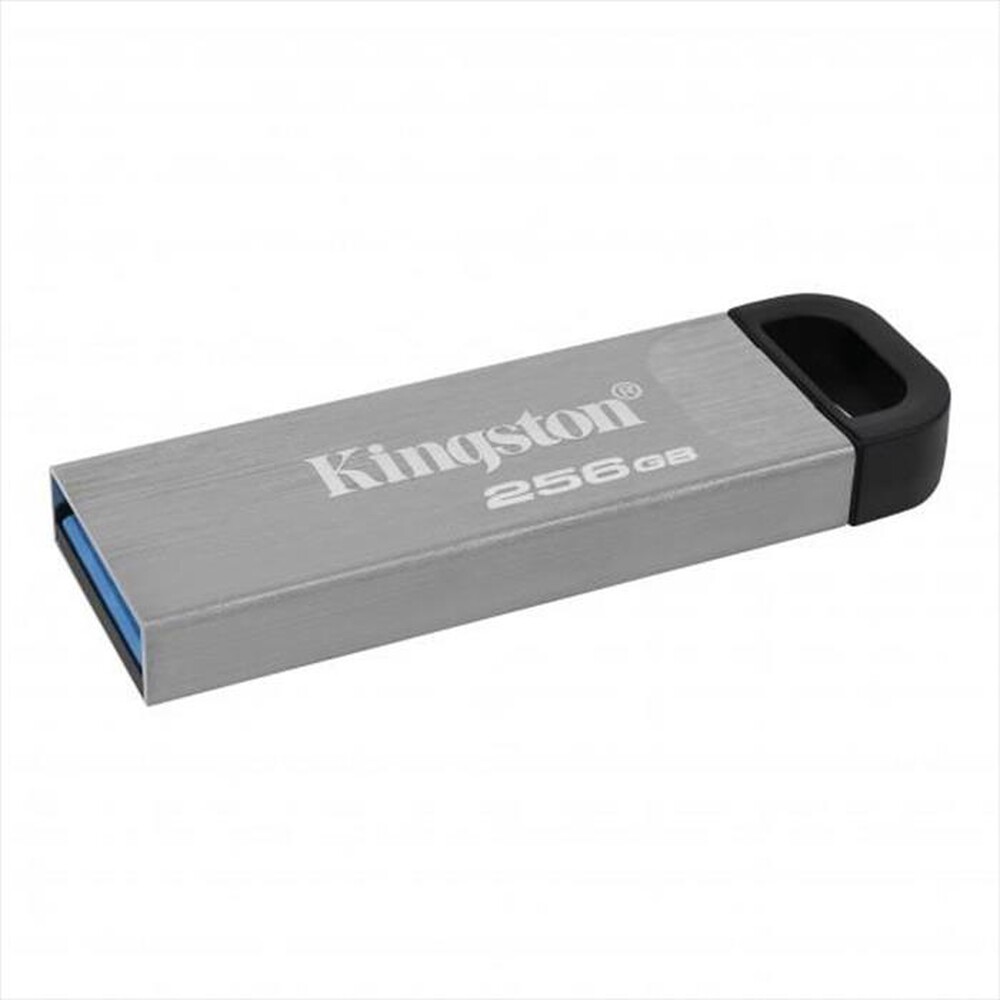 Immagine del prodotto KINGSTON - Memoria 256 GB DTKN256GB-Argento
