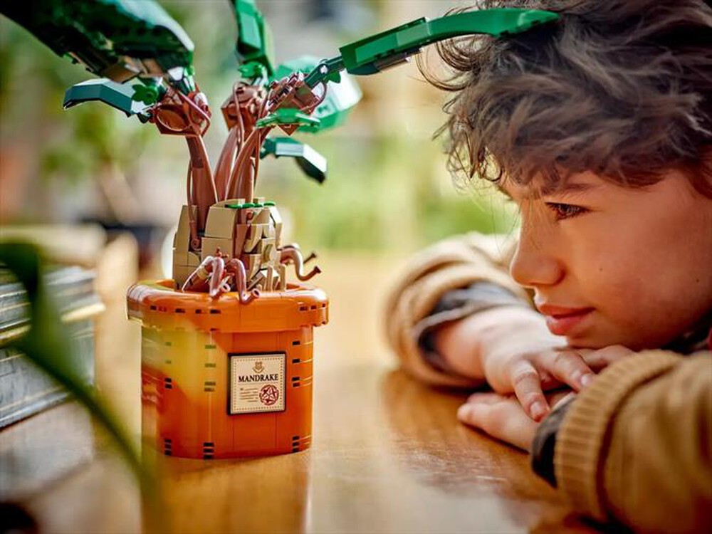 Immagine del prodotto LEGO - HARRY POTTER Mandragola 76433