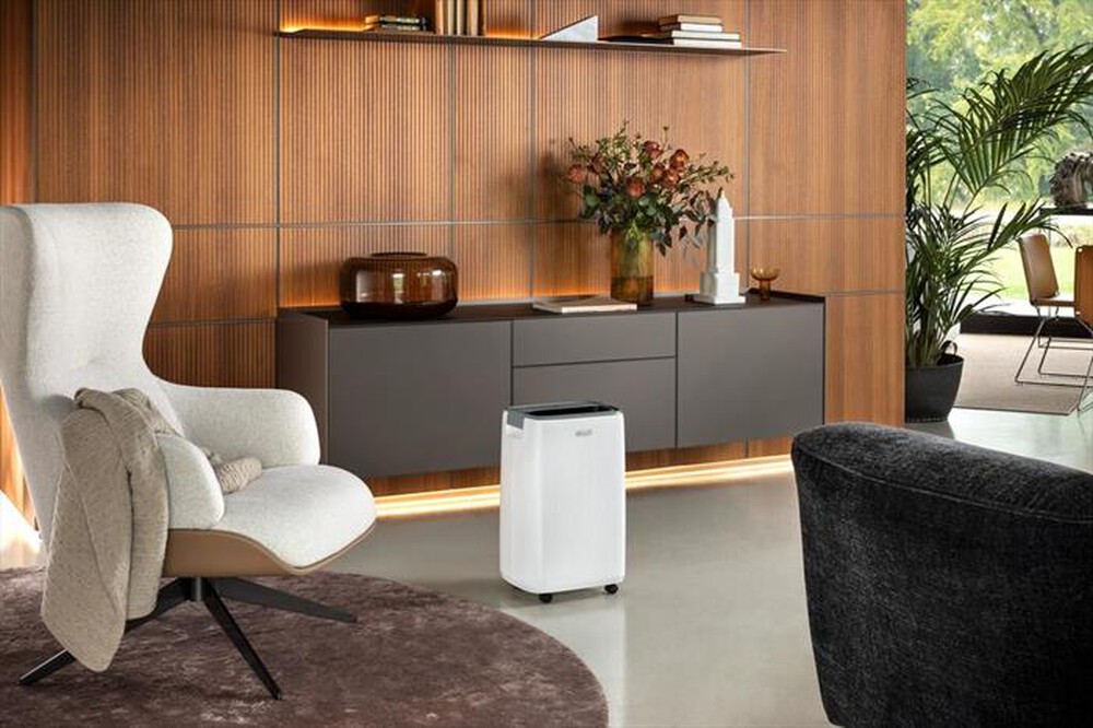 Immagine del prodotto DE LONGHI - DEP216-Bianco / grigio